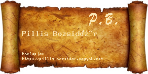 Pillis Bozsidár névjegykártya